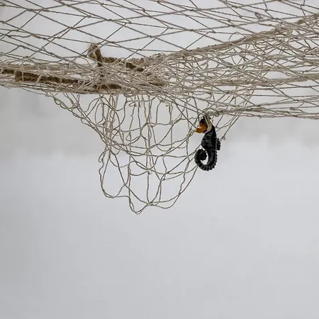 Гостевой дом Aquamarina